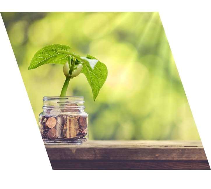 Buyers Agent Budget 